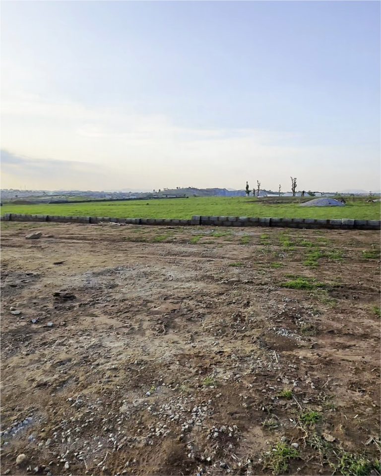 Celebration City Land1
