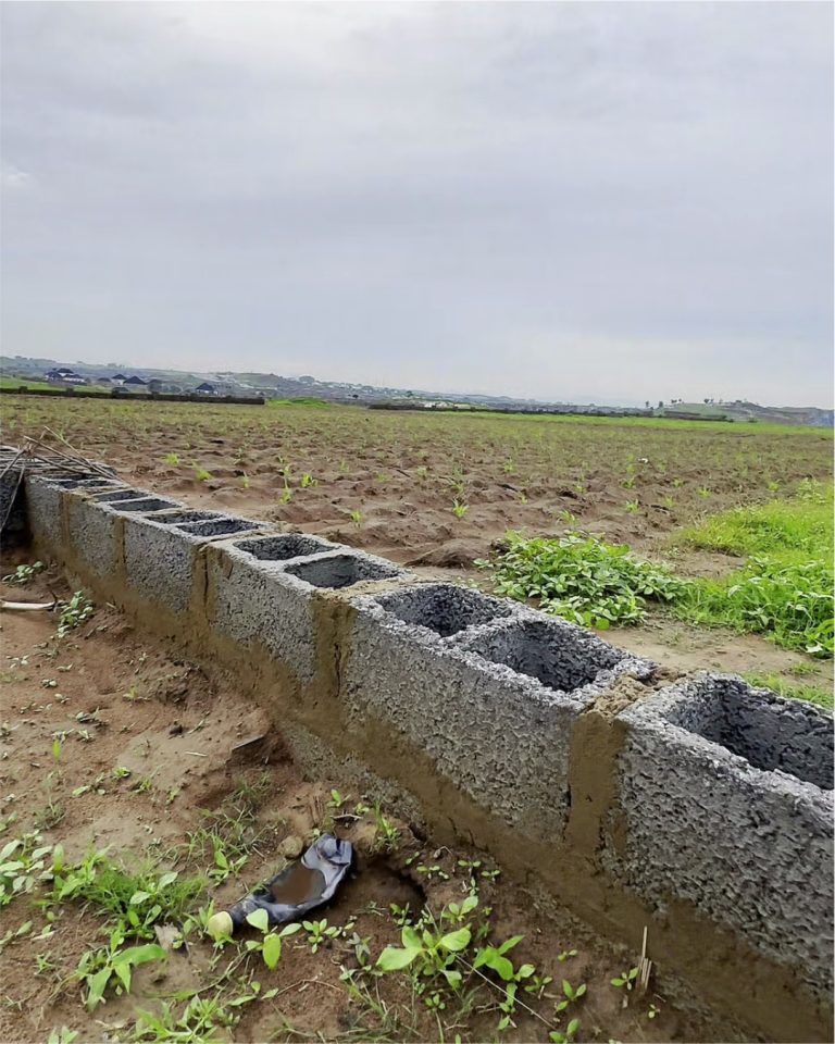 Celebration City Land2